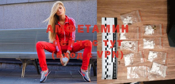 гашиш Богданович