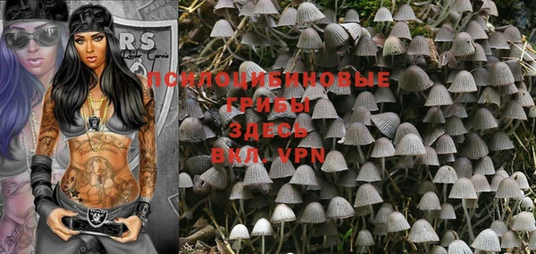 гашиш Богданович