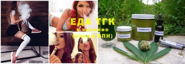 гашиш Богданович