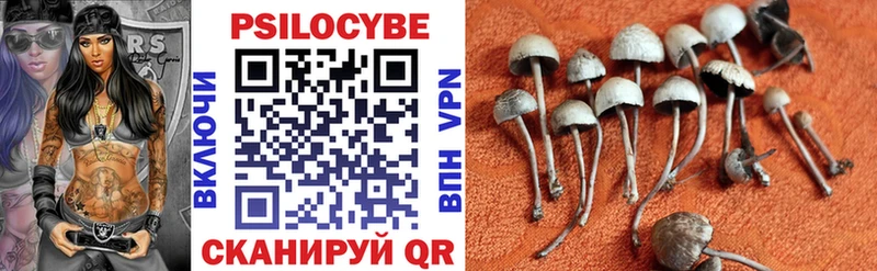 купить   Ялта  Псилоцибиновые грибы Psilocybine cubensis 